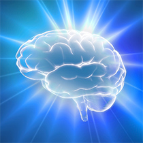 Change Your Brain, Change Your Life, Roots & Wings, events, workshops, yoga studio, Natick, MA