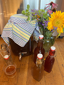 Kombucha Info Session plus optional Scoby Share (Free program)
, Roots & Wings, events, workshops, yoga studio, Natick, MA