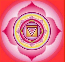 Pelvic Floor & Root Chakra Workshop, Roots & Wings, events, workshops, yoga studio, Natick, MA