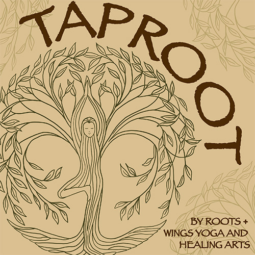 Taproot Podcast